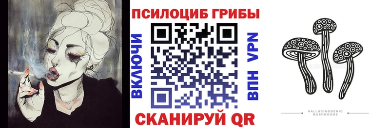 мориарти телеграм  Надым  Псилоцибиновые грибы мухоморы  mega зеркало 