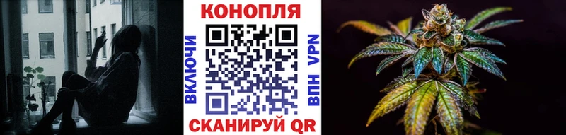 Конопля сатива  Надым 